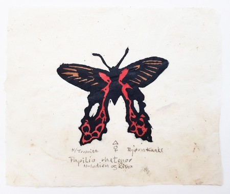 Bjørn Kaaks - Papilio rhetenor